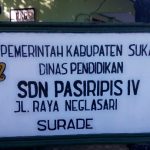 IV Pasiripis